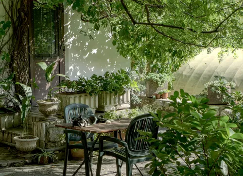 Conseils pour créer un jardin fleuri et respectueux de l'environnement