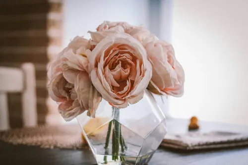 Comment entretenir son bouquet de fleurs fraiches?
